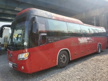 Korean used Bus Kia New Granbird PARKWAY